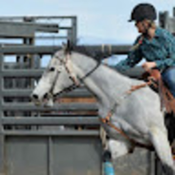 Meet your Posher, Chey - Picture 1 of 1